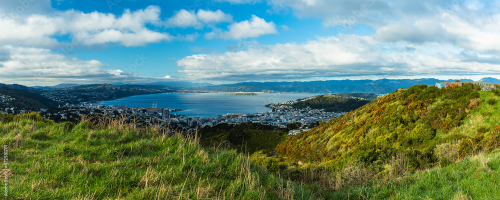 ニュージーランド　首都ウェリントンのブルックリン・アーミーバンカーの丘から見えるウェリントン港の風景とマウント・ビクトリア