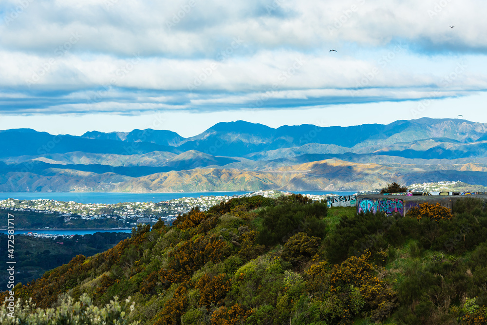 ニュージーランド　首都ウェリントンのブルックリン・アーミーバンカーの丘から見えるウェリントンの風景