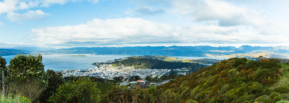 ニュージーランド　首都ウェリントンのブルックリン・アーミーバンカーの丘から見えるウェリントン港の風景とマウント・ビクトリア