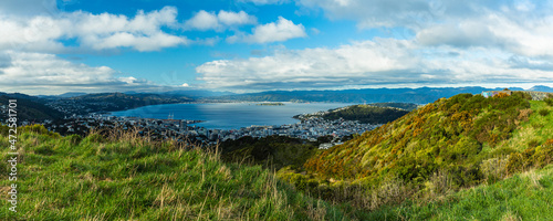 ニュージーランド 首都ウェリントンのブルックリン・アーミーバンカーの丘から見えるウェリントン港の風景とマウント・ビクトリア