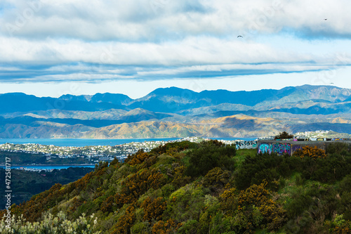 ニュージーランド 首都ウェリントンのブルックリン・アーミーバンカーの丘から見えるウェリントンの風景