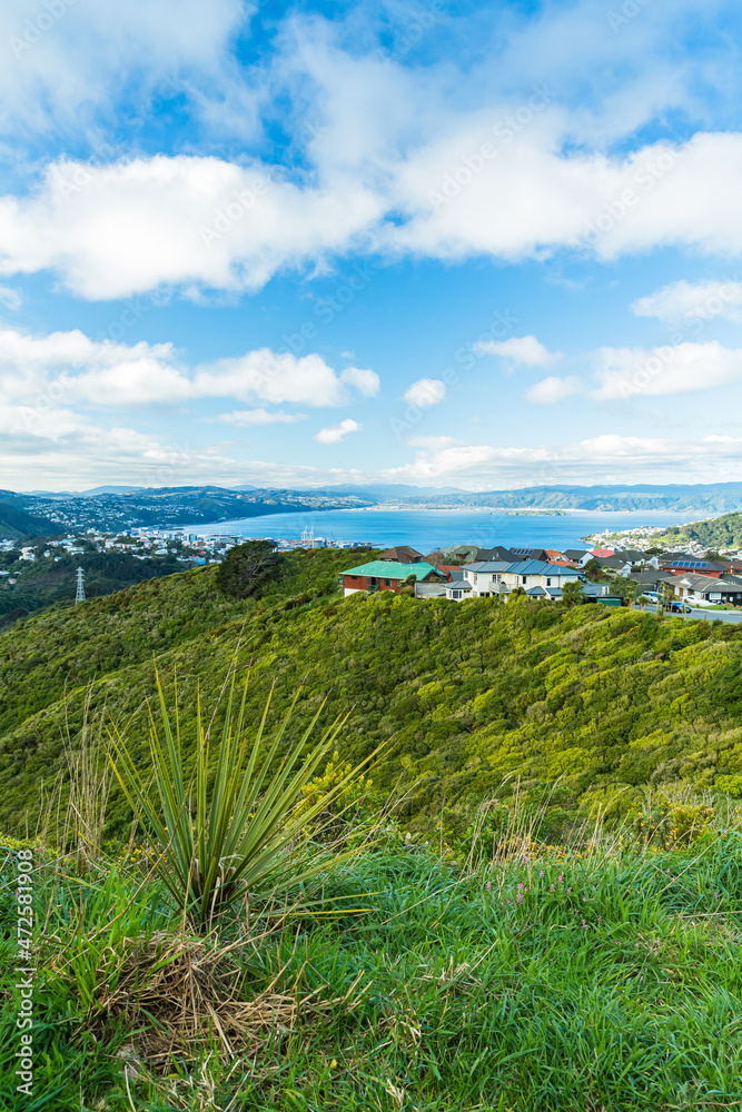 Obraz premium ニュージーランド 首都ウェリントンのブルックリン・アーミーバンカーの丘から見えるウェリントンの風景