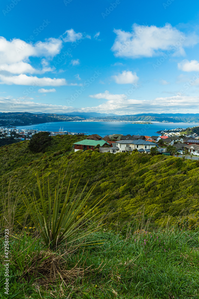 ニュージーランド　首都ウェリントンのブルックリン・アーミーバンカーの丘から見えるウェリントンの風景