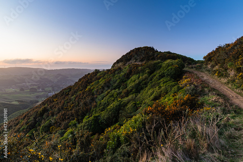 ニュージーランド　首都ウェリントンのマウント・カウカウからの風景と夕焼け空 © pespiero