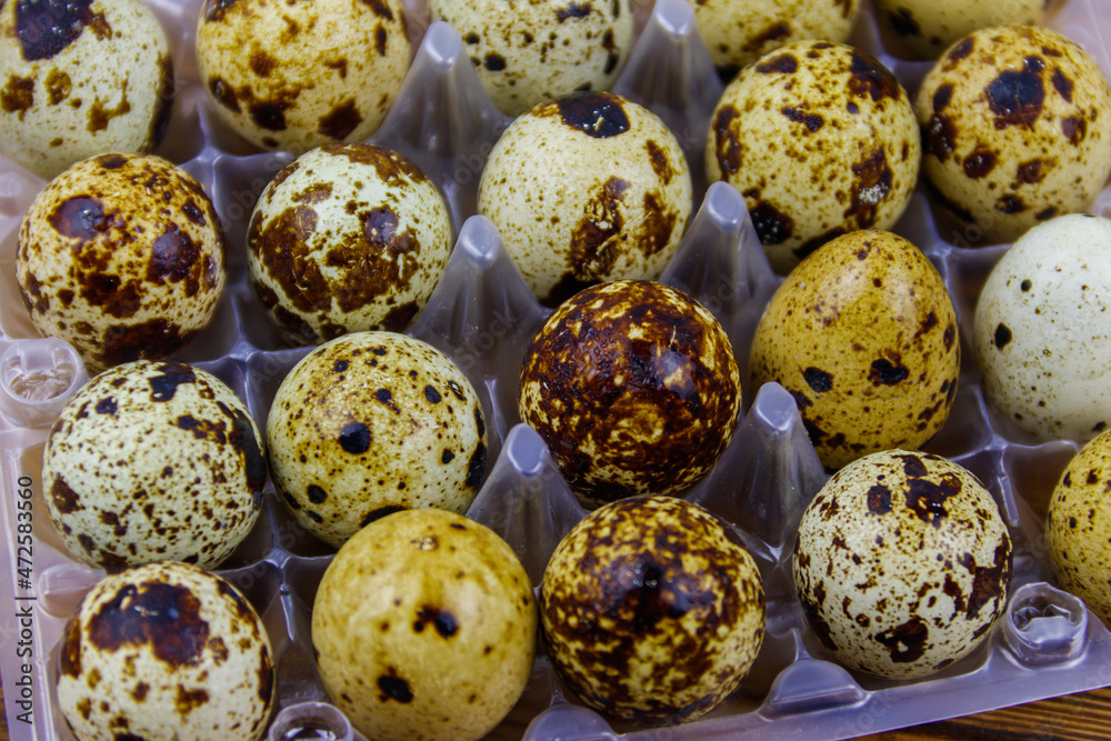 Close-up of quail eggs in a plastic box Close-up of quail eggs in a plastic box