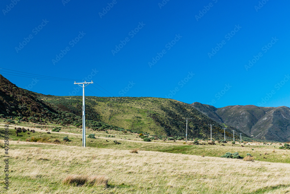 ニュージーランド 首都ウェリントンの近郊のワイヌイオマタのイースト・ハーバー・リージョナル・パークの風景 фотография Stock