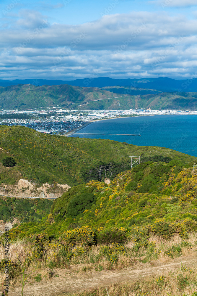 ニュージーランド　首都ウェリントンのギルバード・ブッシュ保護区から見えるウェリントン湾とペトーネのビーチ