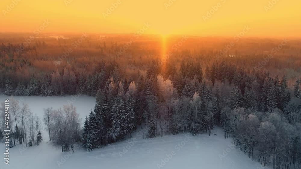 Aerial view of a pine forest in winter with yellow and orange sunburst, flying into Aerial view of a pine forest in winter with yellow and orange sunburst, flying into