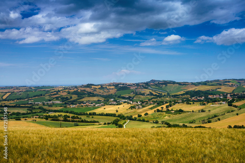 Rural landscape near Santa Maria Nuova and Osimo  Marche  Italy