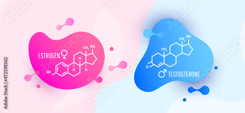Estrogen and testosterone hormones molecular skeletal formula with color liquid fluid shapes on white background, vector illustration photo