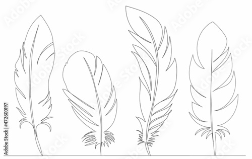 bird feather drawing by one continuous line, sketch, vector
