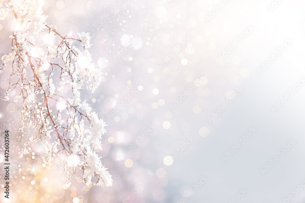 Blurred frozen grass. Winter abstract background. Landscape. Blurred frozen grass. Winter abstract background. Landscape.