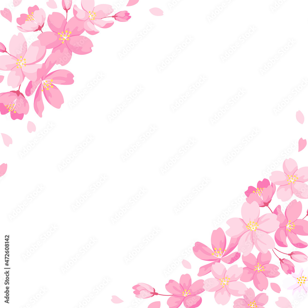 桜の花の装飾フレーム　正方形サイズ　背景イラスト　デザイン用のベクター素材