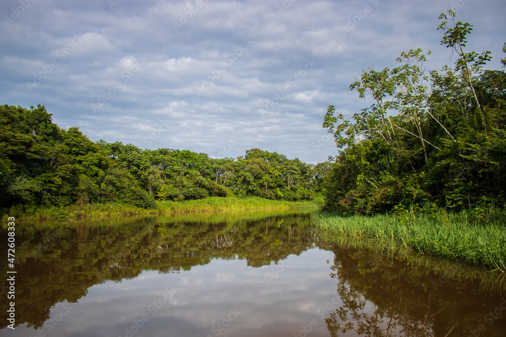 The beautiful waters of the Tahuayo River, which reflect the clouds in the sky and the green trees of the Amazon jungle, generating beautiful landscapes, a beautiful place to travel The beautiful waters of the Tahuayo River, which reflect the clouds in the sky and the green trees of the Amazon jungle, generating beautiful landscapes, a beautiful place to travel