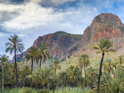 Vega Baja del Segura - Orihuela - Palmeral y paisajes de su entorno.