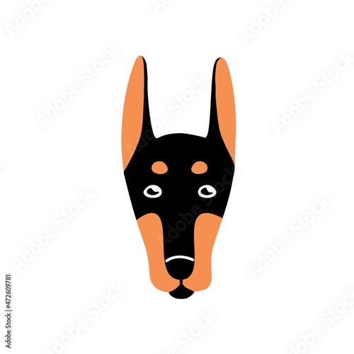 Dogs face avatar. Cute Dobermans puppy head. Canine animal portrait of adorable pup. Purebred pets snout. Charming muzzle icon. Flat vector illustration isolated on white background