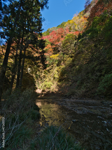 四方木不動滝周辺の紅葉