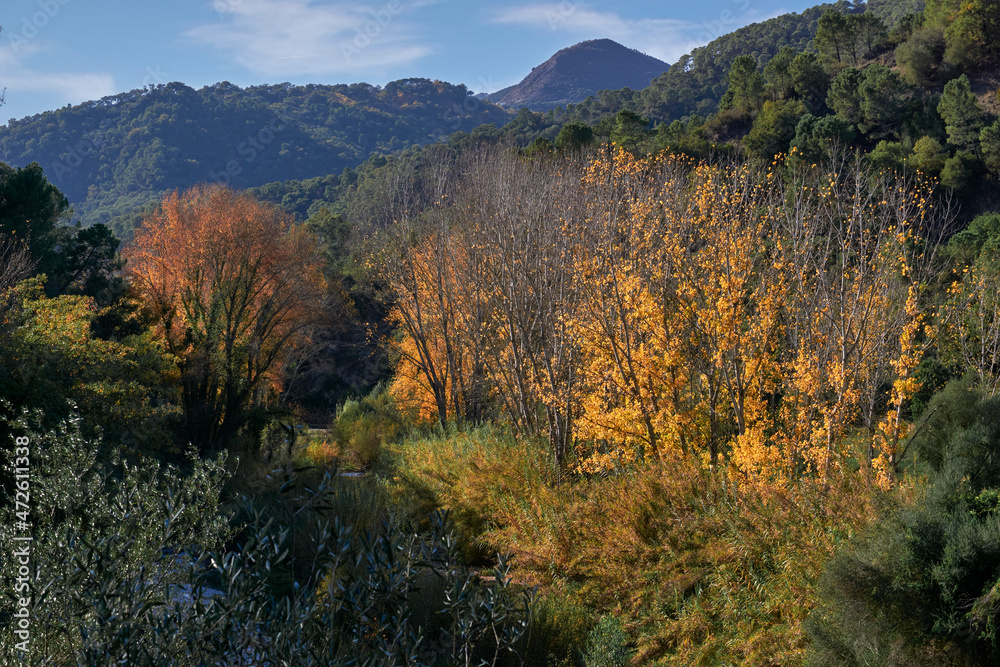 Autumn landscape in the Genal valley in the province of Malaga. Spain