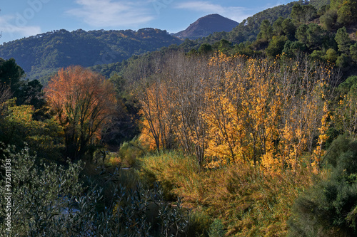 Autumn landscape in the Genal valley in the province of Malaga. Spain