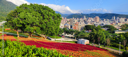 San-Tseng-Chi Urban Park on a bright sunny day with colorful flower fields on the hillside under blue clear sky during Flower Festival, in Beitou District, Taipei City, Taiwan