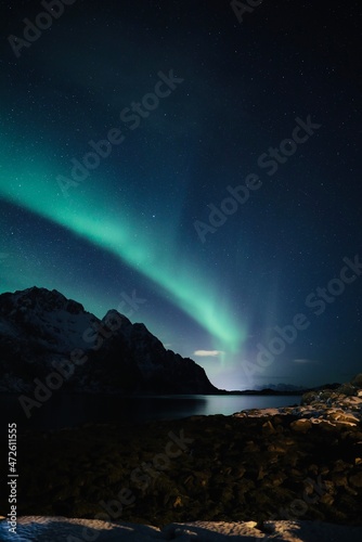 Aurora borealis   Northern lights in Lofoten  Norway 