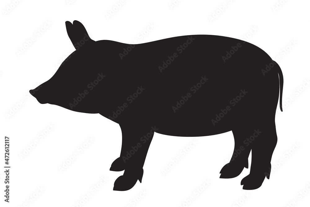 Fototapeta premium Pig on white. Hand drawn animal on isolated background. Print for banners, shirts and textiles. Doodle for business