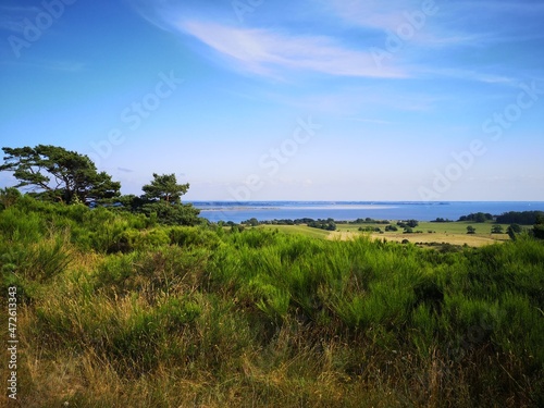 Sommer auf Insel Hiddensee, Ostsee