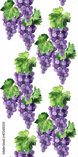 Watercolor seamless border with grape brushes, branches and leaves of various grape varieties