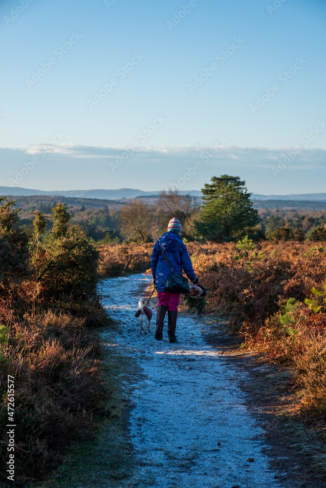 Hindhead common looking towards the South Downs