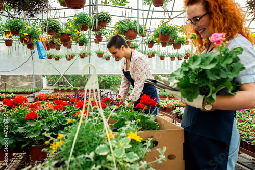 Two female florists working with flowers in a greenhouse, preparing online orders using a tablet.