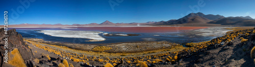 Large panorama of Laguna Colorada, pink lake in Bolivia photo