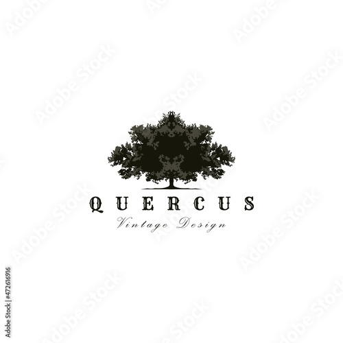 Vintage oak tree logo vector illustration design photo