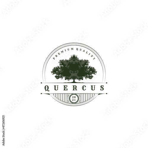 Vintage oak tree logo vector badge illustration design, vintage tree line label design