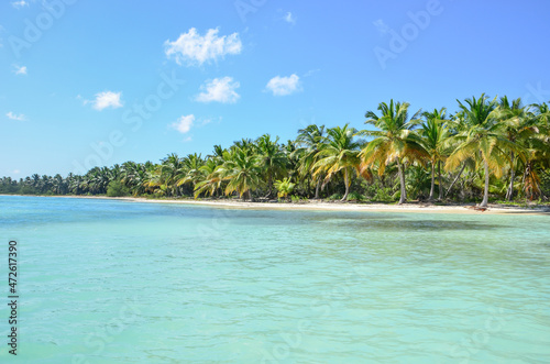 Tropical beach with palm and turquoise sea
