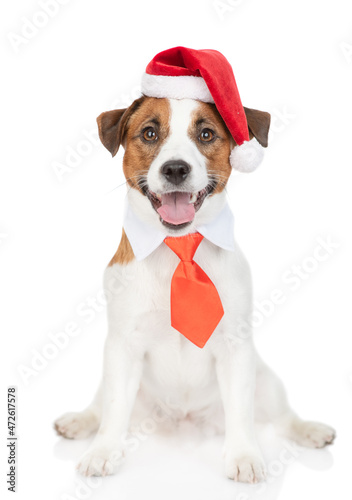 Jack russell terrier puppy wearing red christmas hat and suit with necktie looks up. isolated on white background © Ermolaev Alexandr
