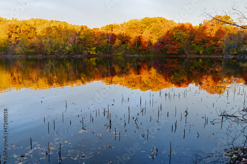 marthaler park autumn morning of coloful forest and pond reflections photo