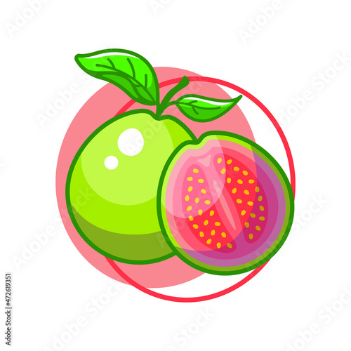 Guava fruit drawing illustration design (ID: 472619351)