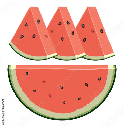vector watermelon slices