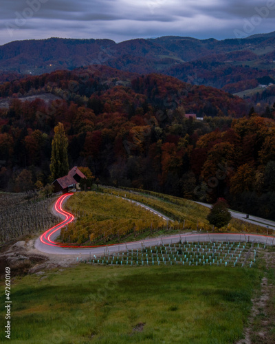 Heart in the vineyards, Spicnik, Stajerska region, Slovenia