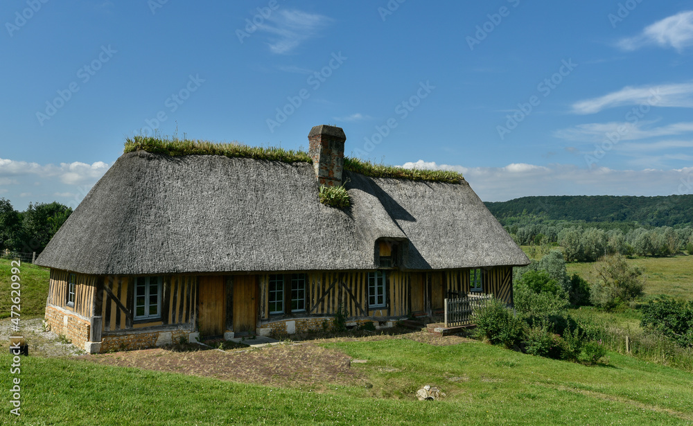 Maison Traditionnelle en toit de chaume de Normandie Maison Traditionnelle en toit de chaume de Normandie