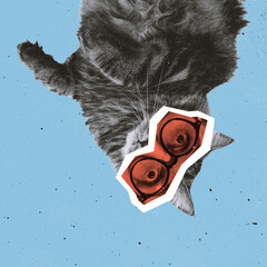 Contemporary art collage with black and white portrait of fluffy cat with male eyes isolated over blue background.