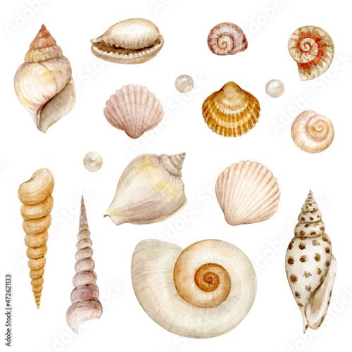 Set of watercolor seashells and pearls.