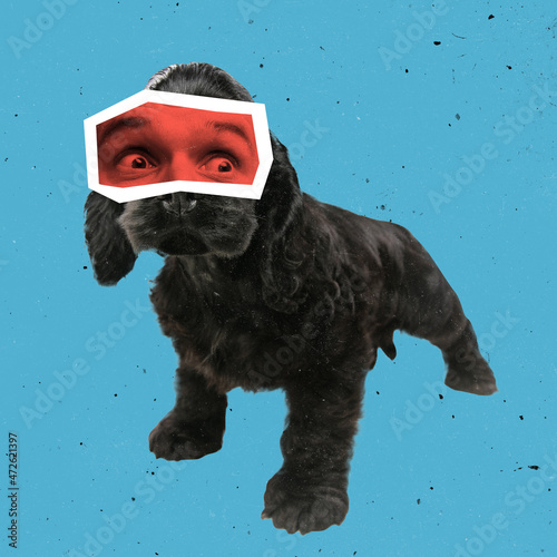 Contemporary art collage of little black dog with male eyes isolated over blue background. Animals with human emotions