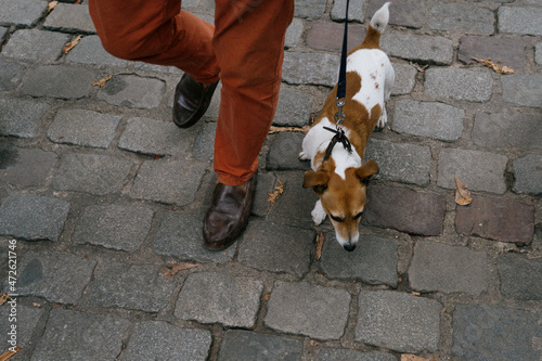 Chien se faisant promener par son maître un dimanche à Paris. Les deux acolyte marchent sur un sol pavé. photo
