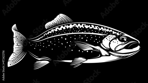 Rainbow trout jumping out water.Salmon isolated on white background. Concept art for horoscope, tattoo or colouring book.