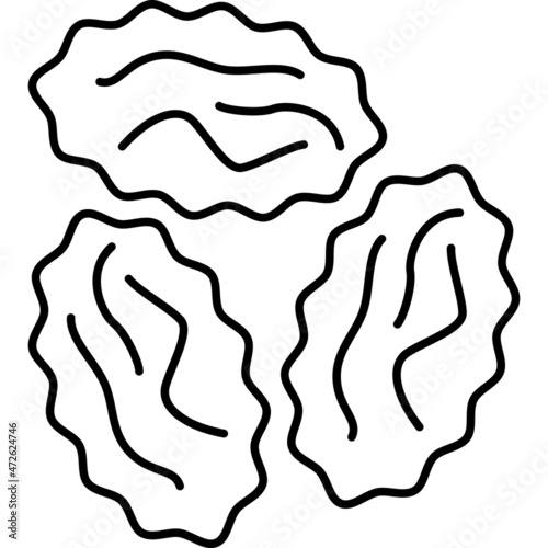 Raisin Fruit Icon Vector Outline