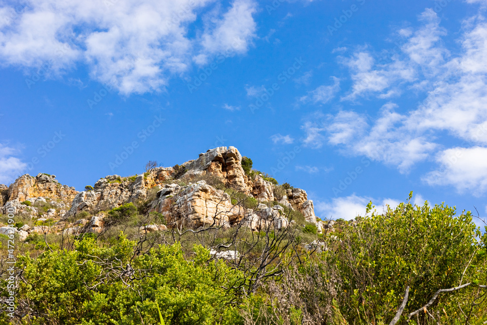 Rugged mountain landscape with fynbos flora in Cape Town