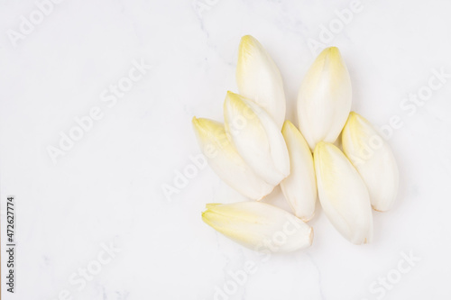 1 kilo Raw chicory on a marble surface copy space left