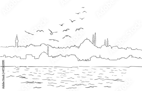 Istanbul city silhouette with mosques vector illustration