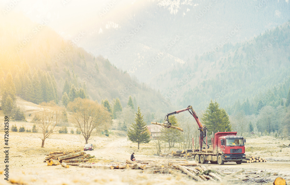 Ecosystems are in danger due to the illegal cutting down of the ...